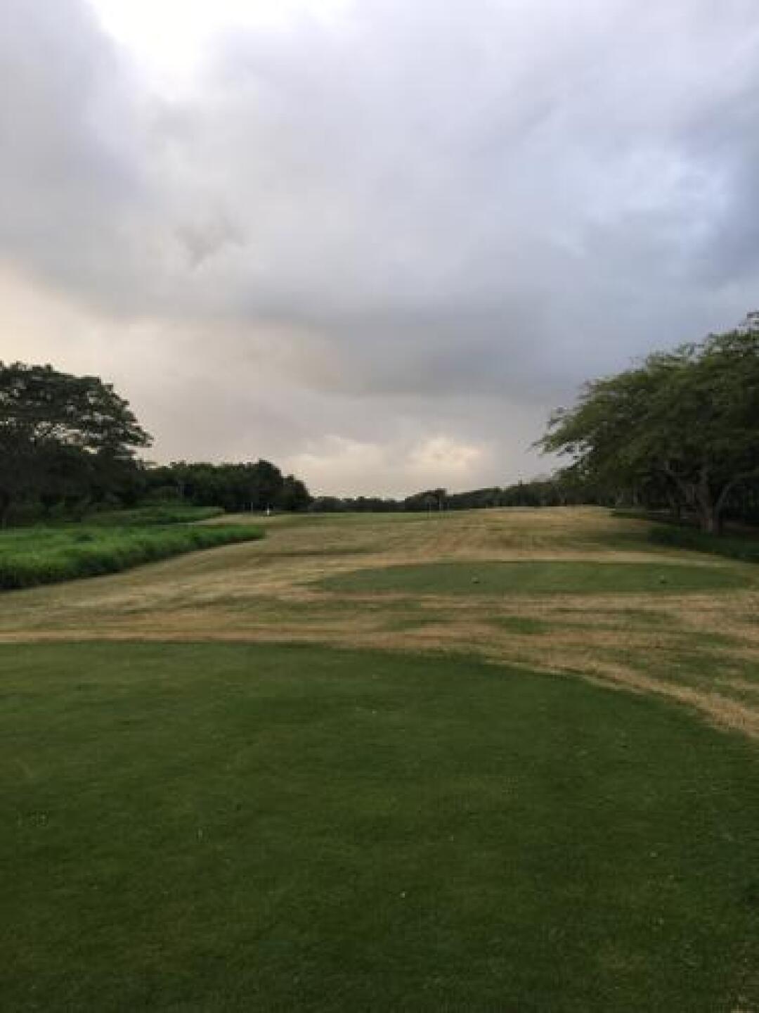 (Photo submitted by odominguez on 11/09/2016)