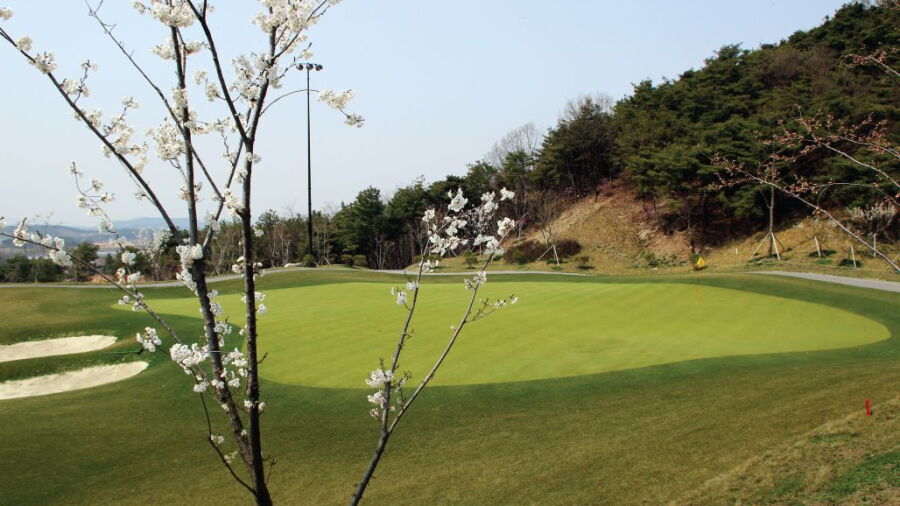 Icheon Silk Valley GC - Valley Nine: #9