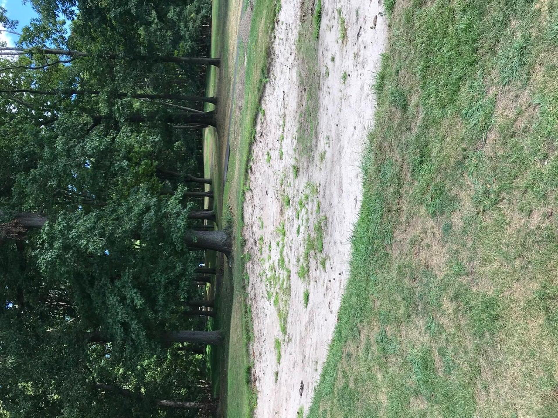 Sand bunker (Photo submitted by JMoore1228 on 08/30/2020)
