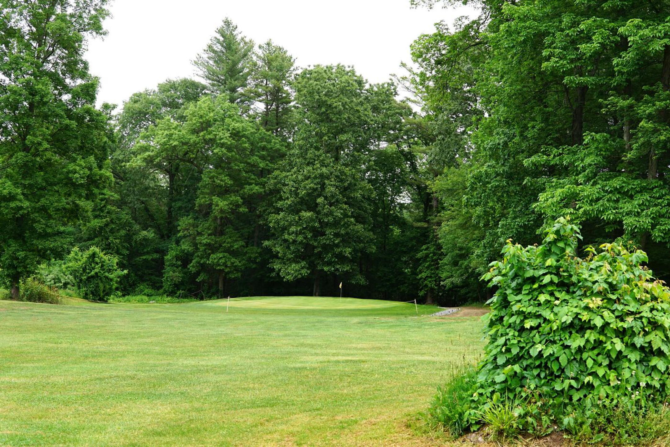 The fourth doglegs at a right angle into its green–which has a woodsy backdrop (Photo submitted by AptlyLinked on 06/08/2023)