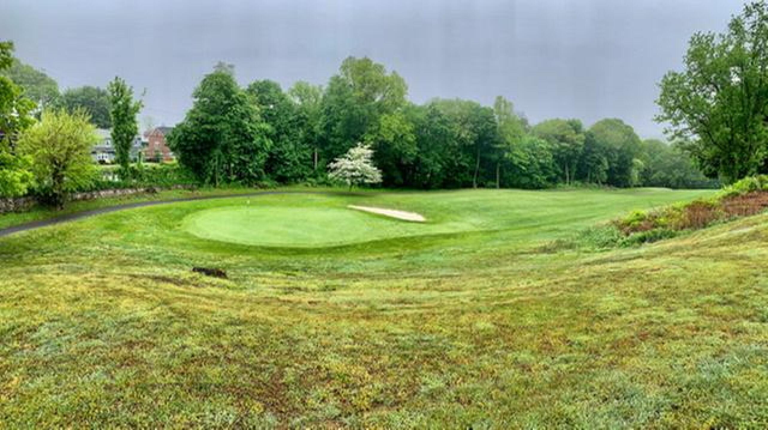 (Photo submitted by rich4par on 05/23/2020)