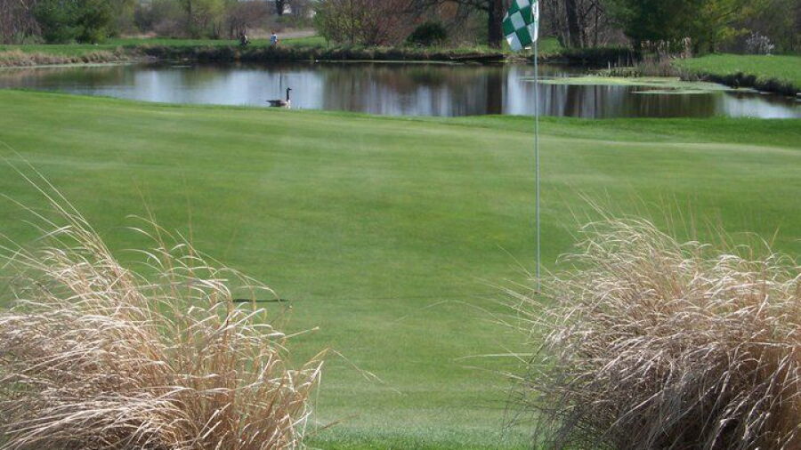 Morningstar GC: #2