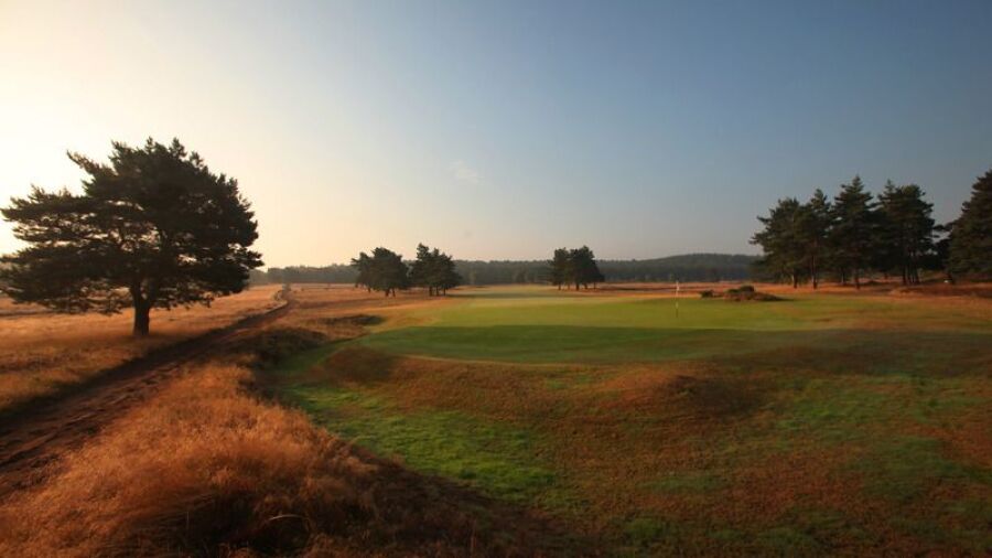 Hankley Common GC: #12