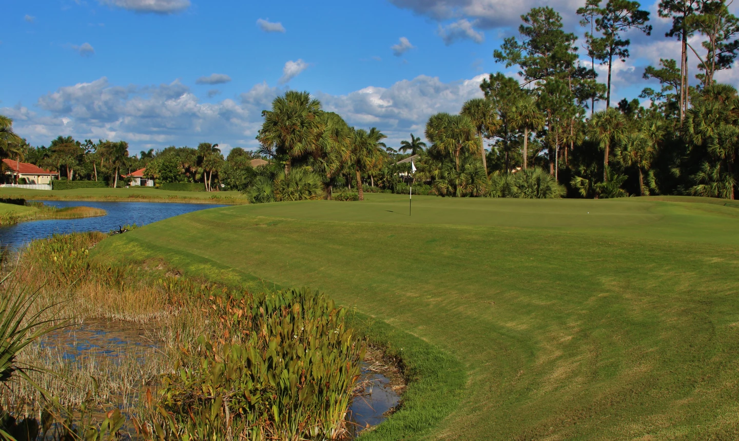 Rees Jones course at The Breakers Palm Beach - hole 14 