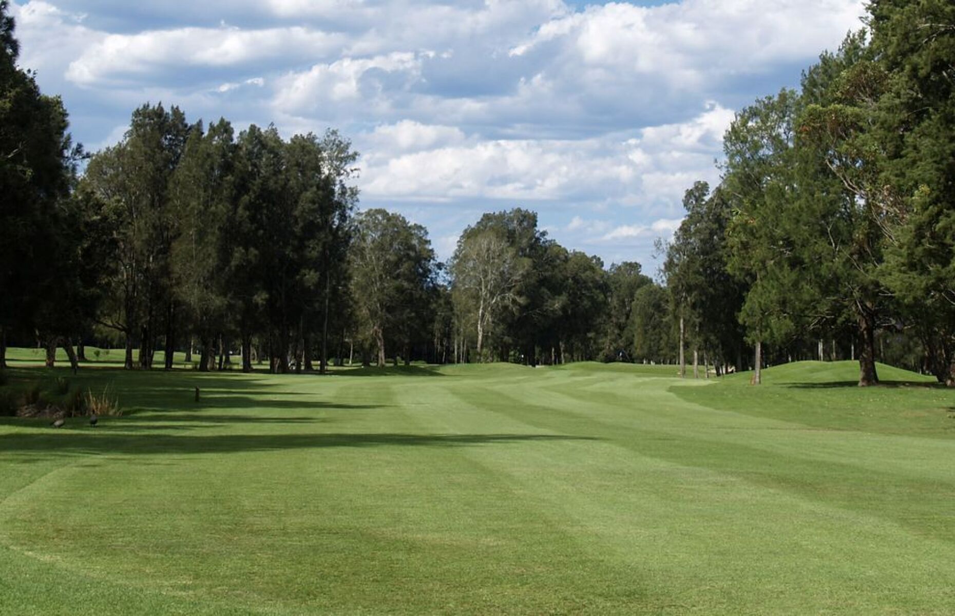 Bayview Golf Club in Mona Vale, New South Wales, Australia Golf Advisor