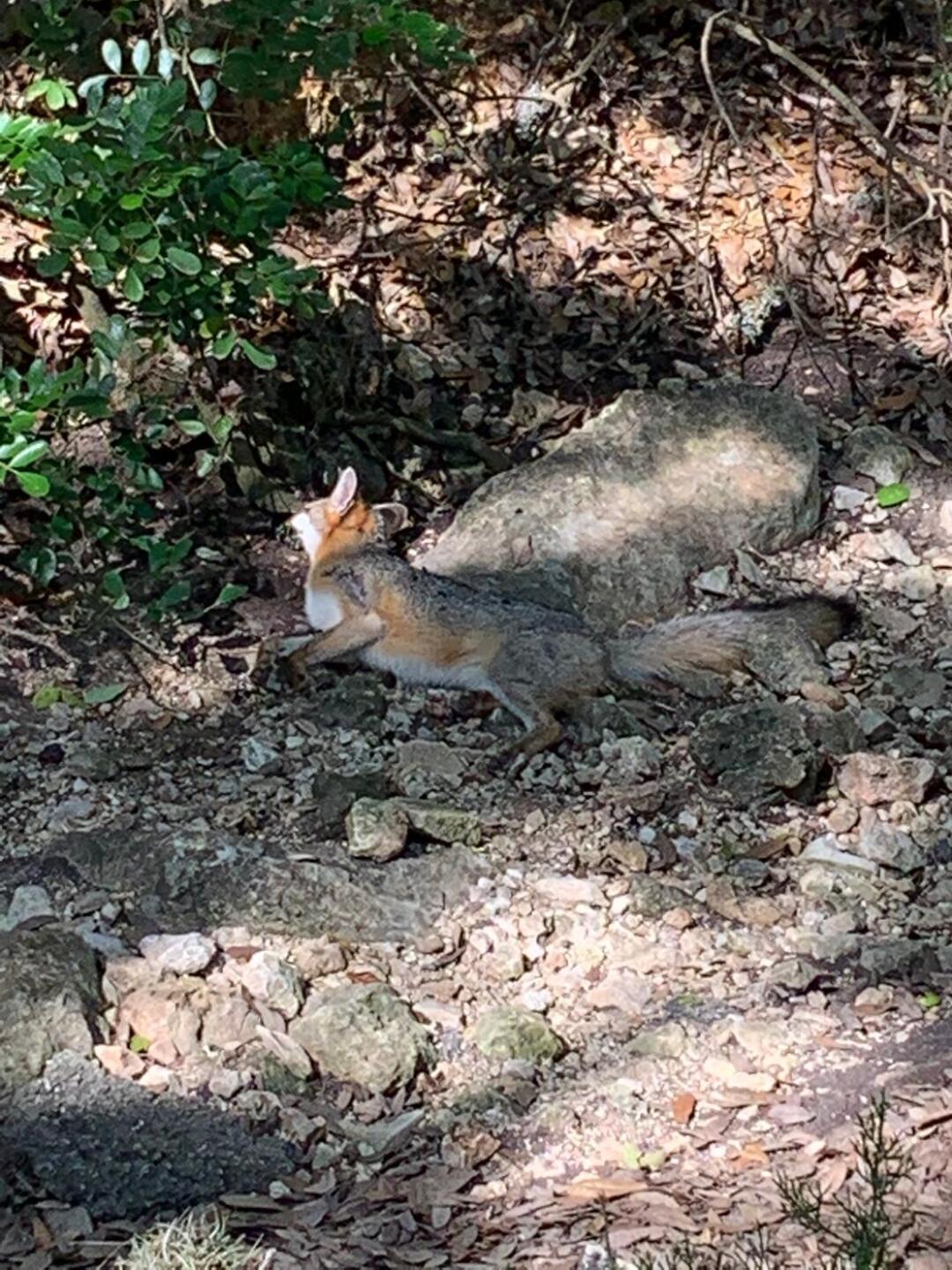 (Photo submitted by 2YDIj8C6QjNkilIlyMzl on 05/19/2020)