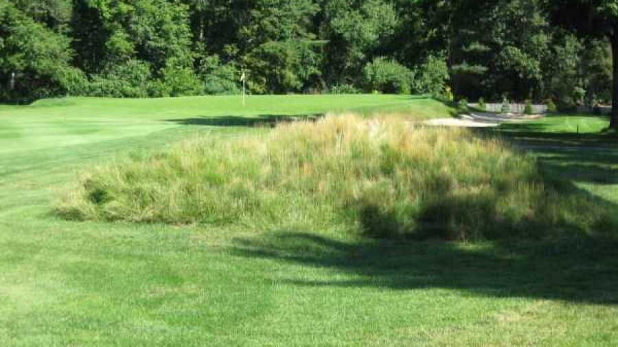 Blue Hill CC