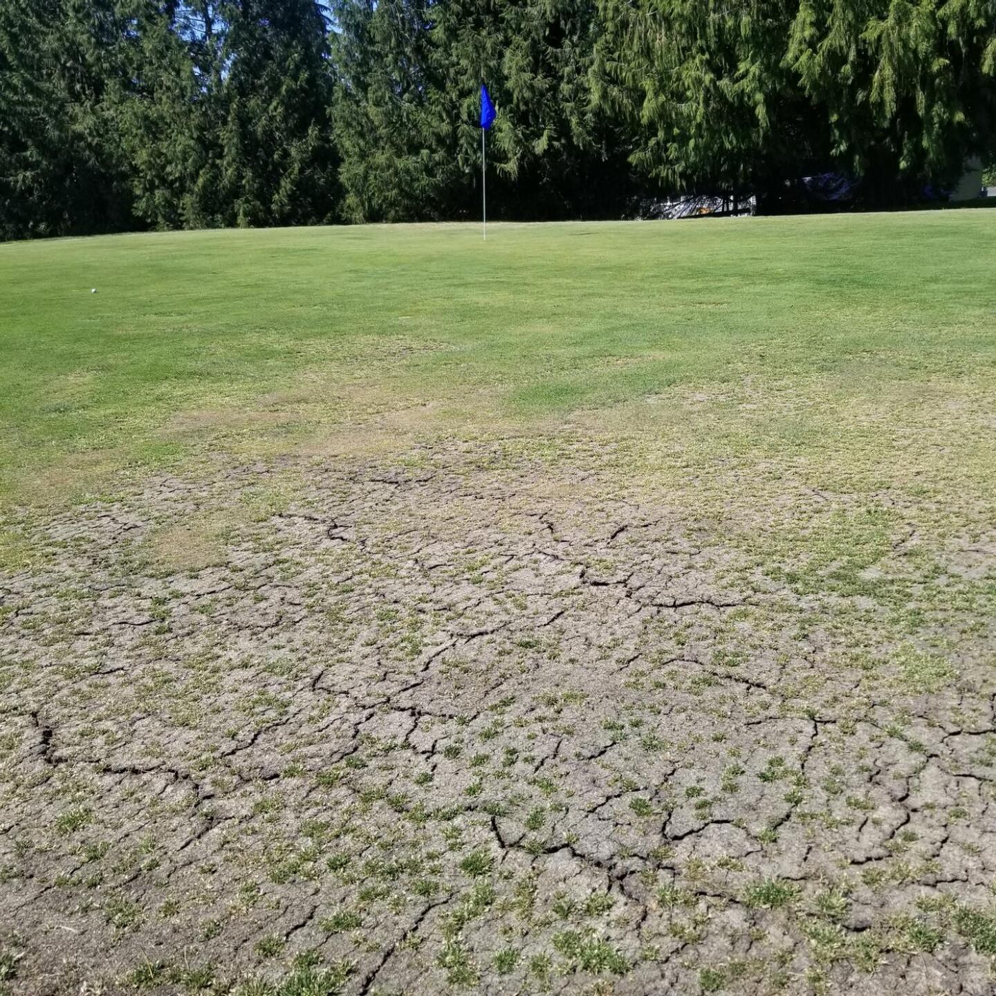 (Photo submitted by HalfLife on 04/18/2021)