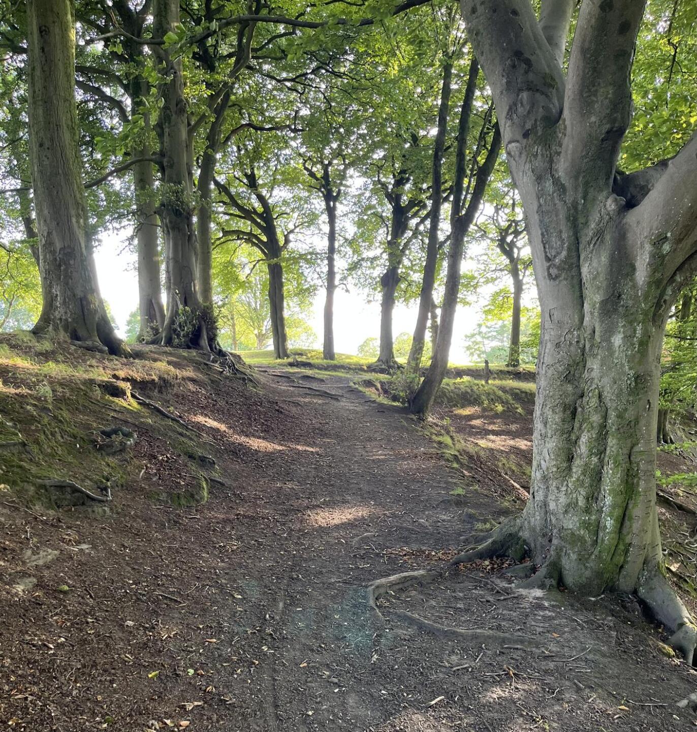 (Photo submitted by sFWQEJh5RU2h4MpIrGLO on 08/01/2025)