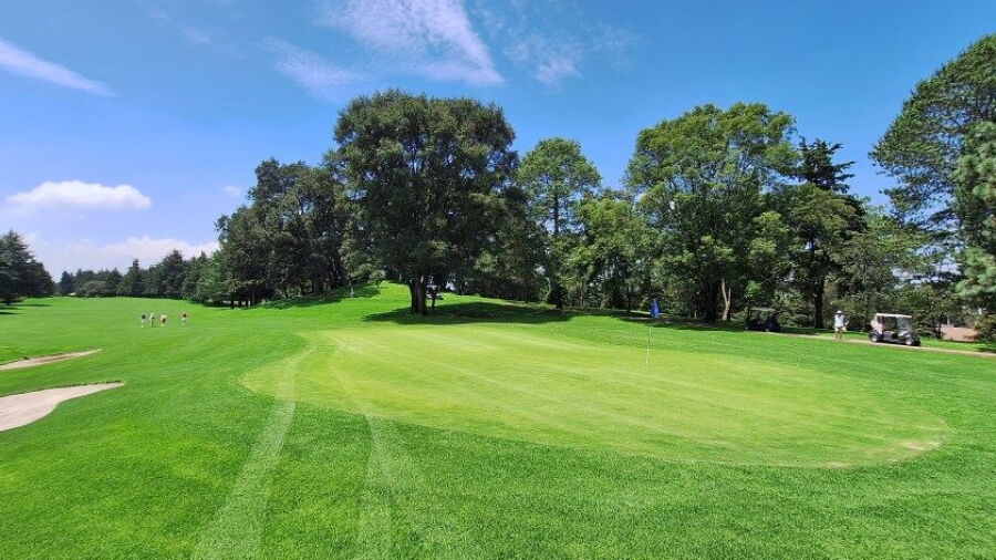 Los Encinos Club de Golf: #11