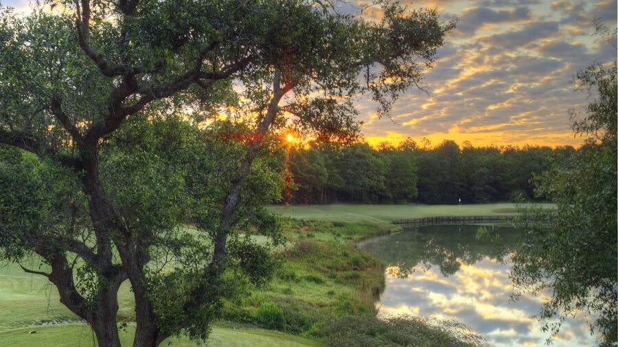 The Oaks GC: #7