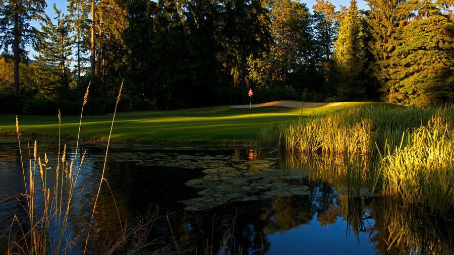 Seymour GCC: #11