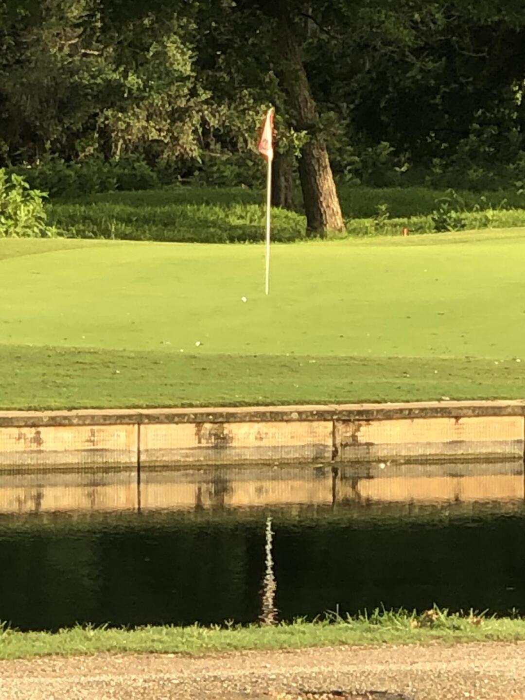 (Photo submitted by zGbNihCpeLxPpsB3VQQe on 07/08/2021)