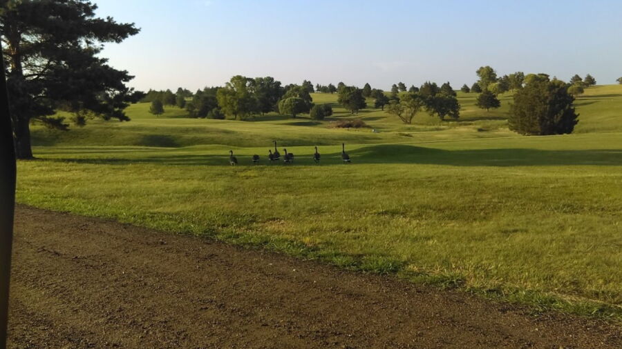 Red Cloud GC