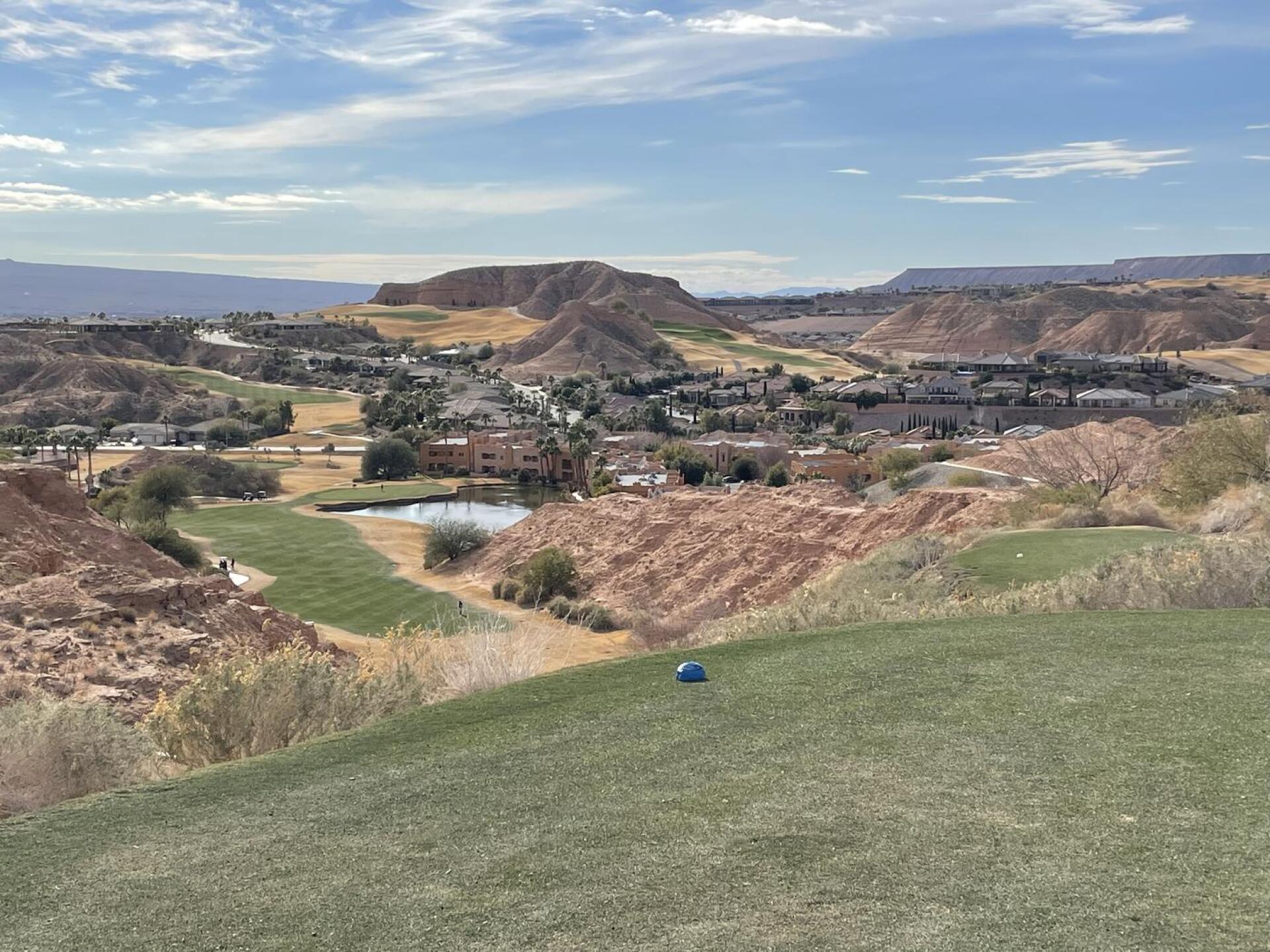 #8 (Photo submitted by Arthur7757239 on 01/20/2022)