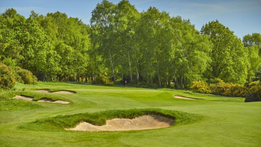Woodbridge GC - Heath