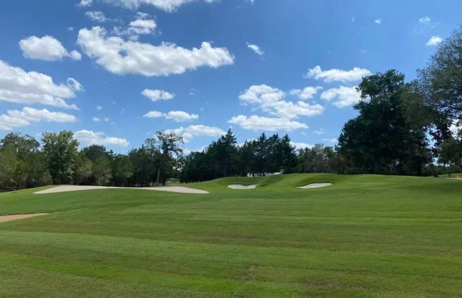 Big Easy Ranch - The Covey