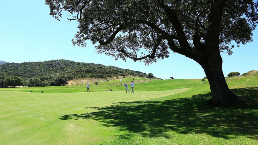 Domaine de Murtoli