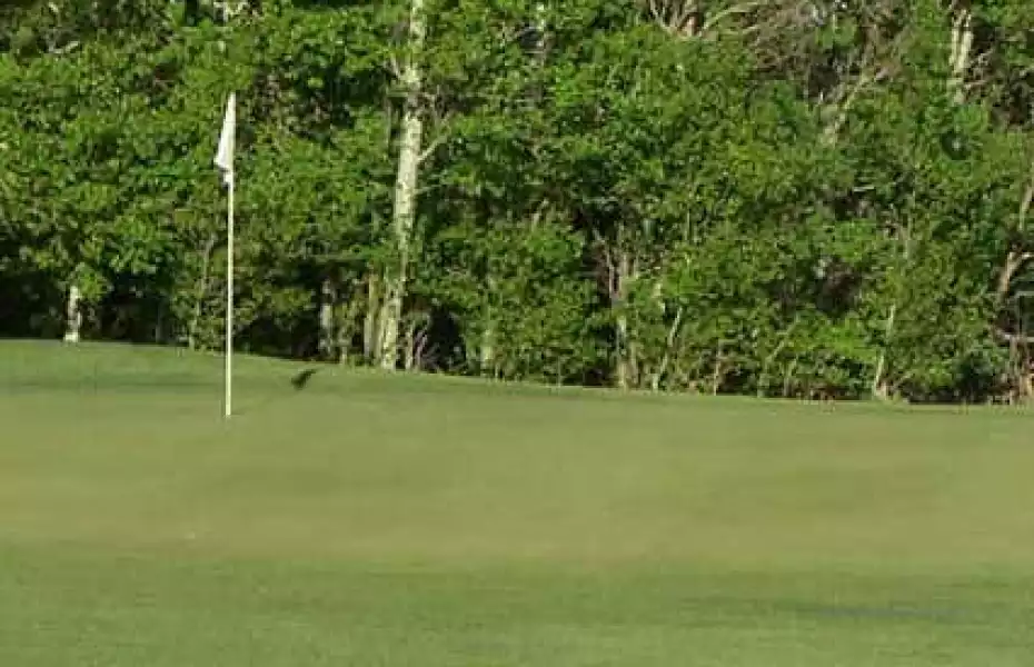 Loons Golf & RV Park