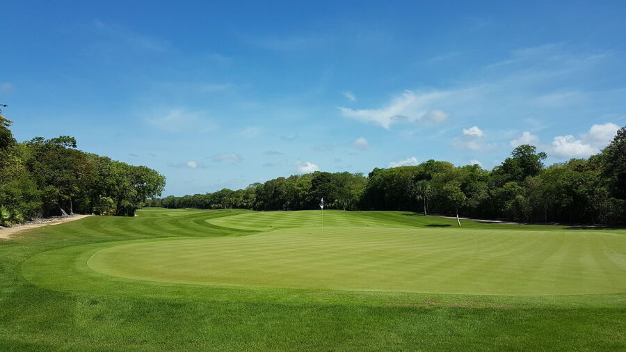 Gran Coyote Golf Riviera Maya: #7