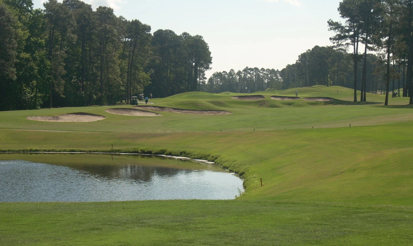 Avocet Course - Wild Wing Golf Plantation - hole 9