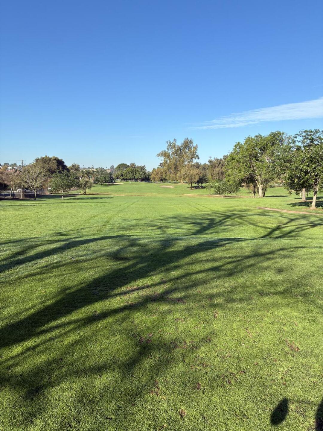 (Photo submitted by Hegel on 02/12/2026)