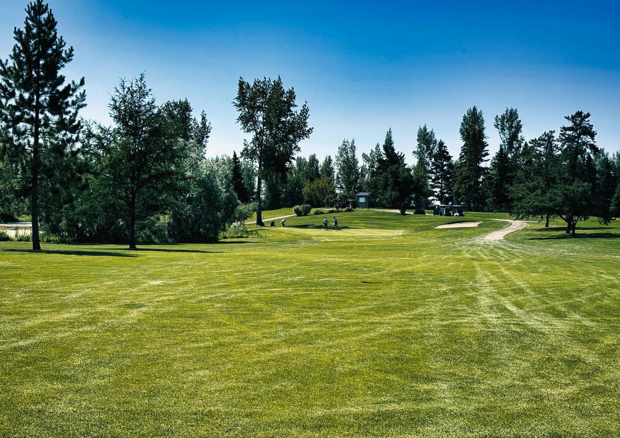 Meadow Lake GC, Hole 11, Par 4, 353 yds, 135 yds out (Photo submitted by DYakimec on 08/29/2026)