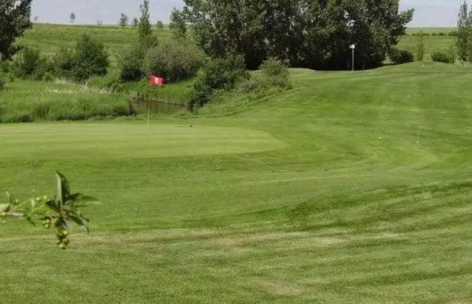 Flowing Springs Golf Greens: #5