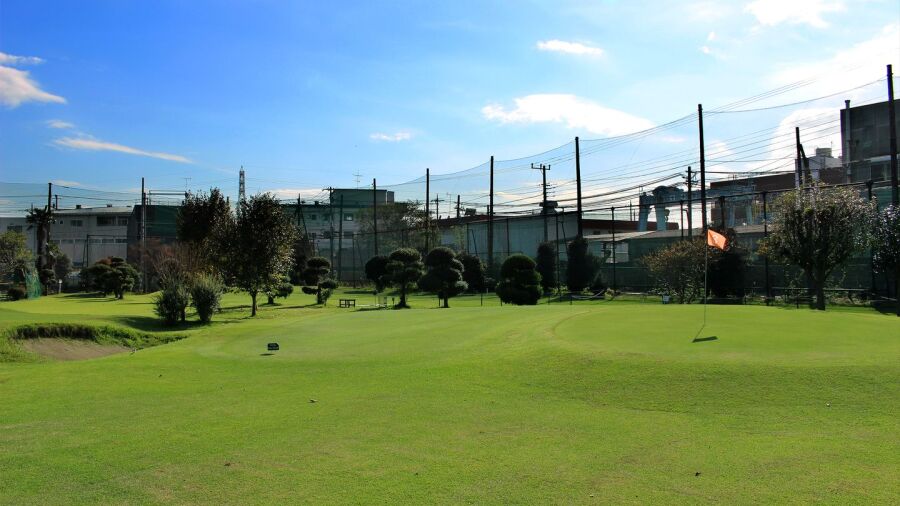 Midorino GC: #3