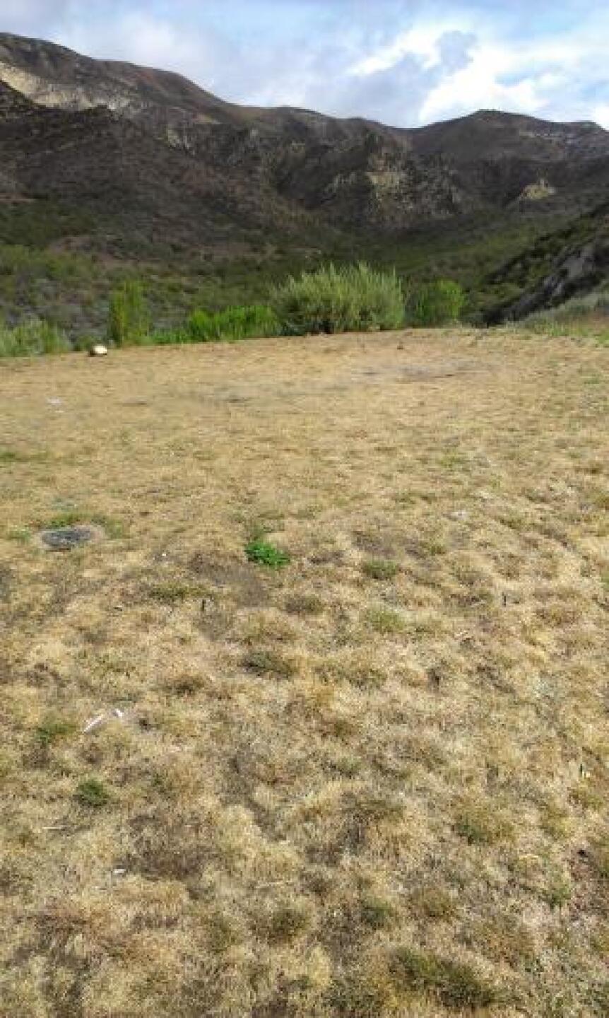 Championship tee 18th hole (Photo submitted by calidahgolf on 04/01/2013)