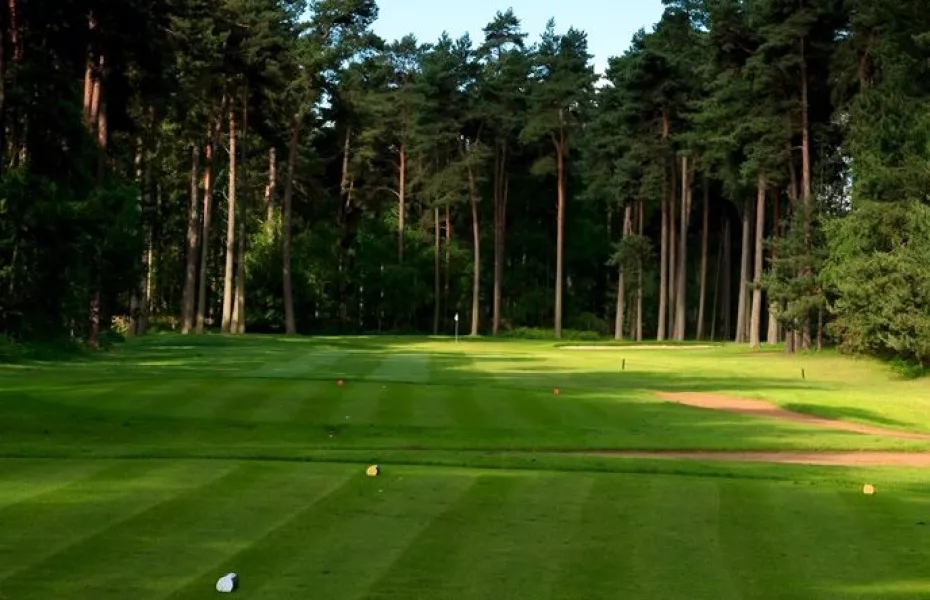 Woburn GCC - Duchess': #13