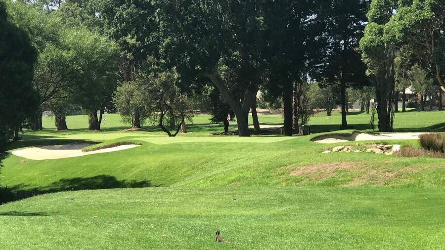 Balgowlah GC: #2