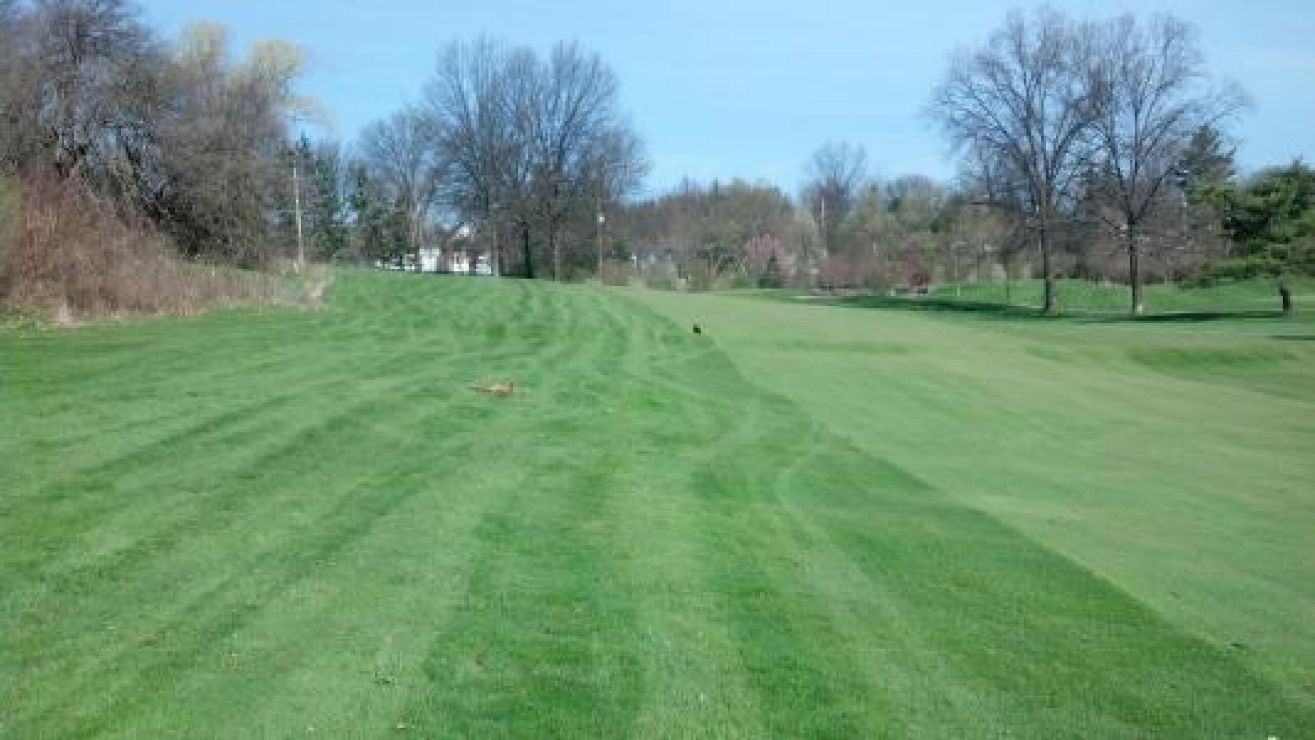 One Fox Down-2nd Fairway (Photo submitted by marksfrank on 04/24/2013)