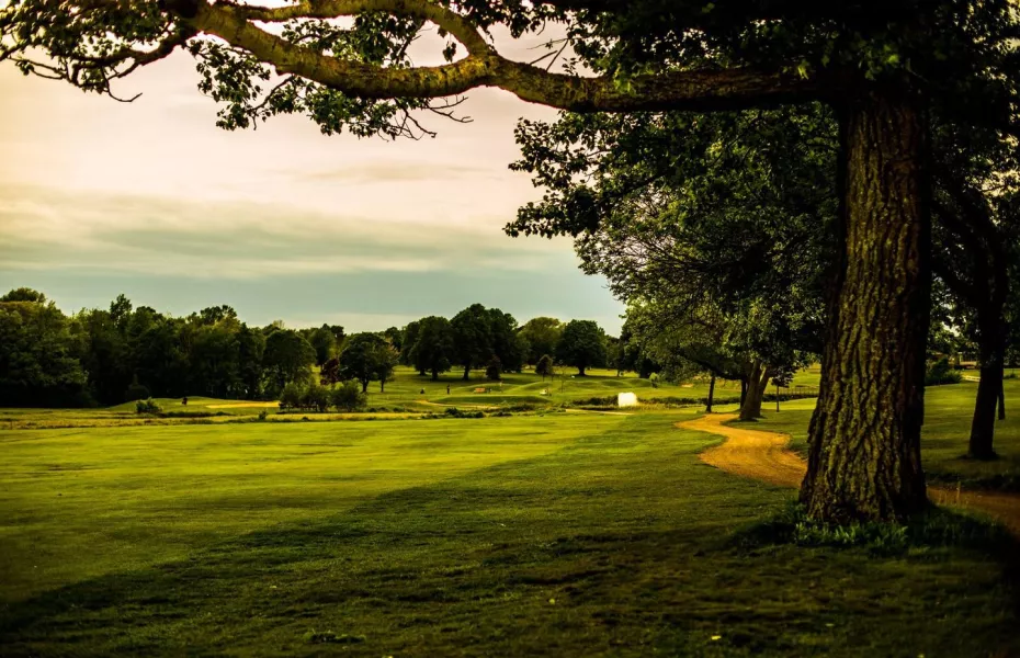 Belvedere GC: #6