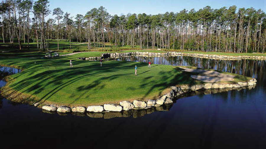 Tiger's Eye - #11