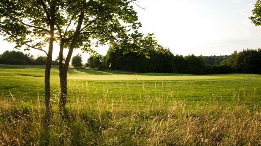 Hechingen-Hohenzollern GC: #10