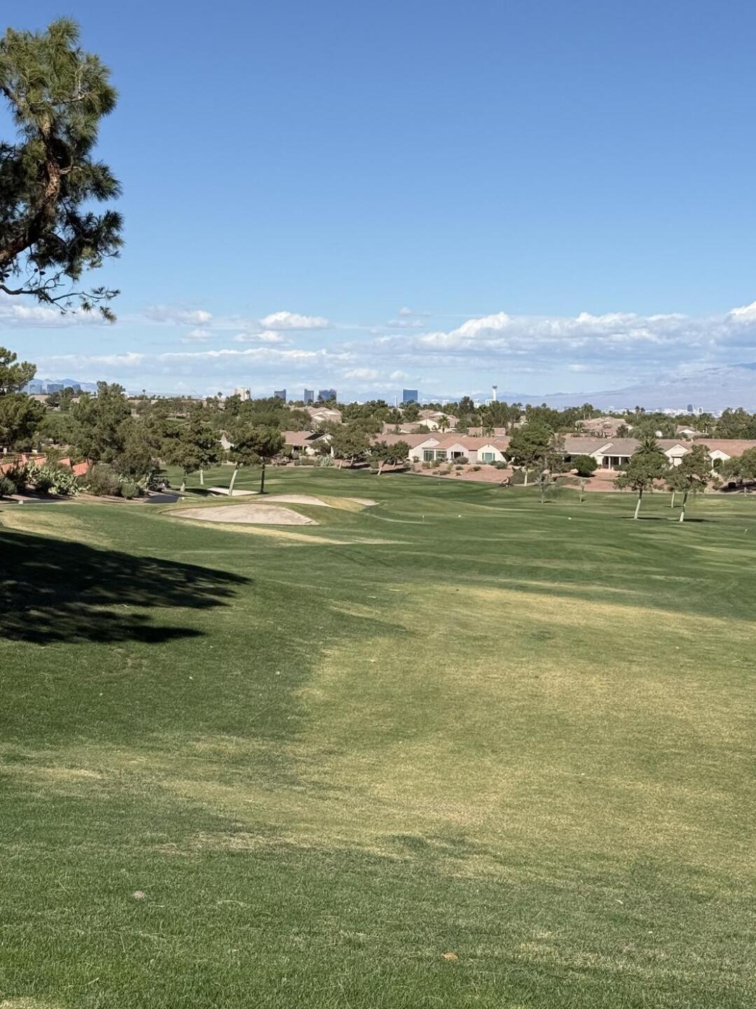 (Photo submitted by tech851 on 10/30/2024)