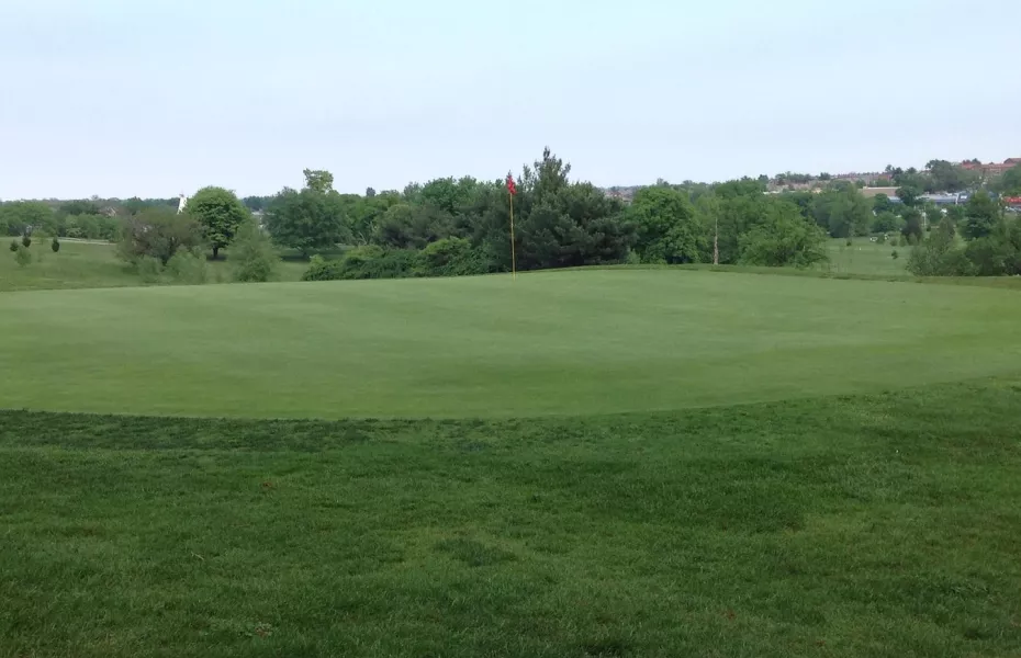 Clifton Park GC: #8
