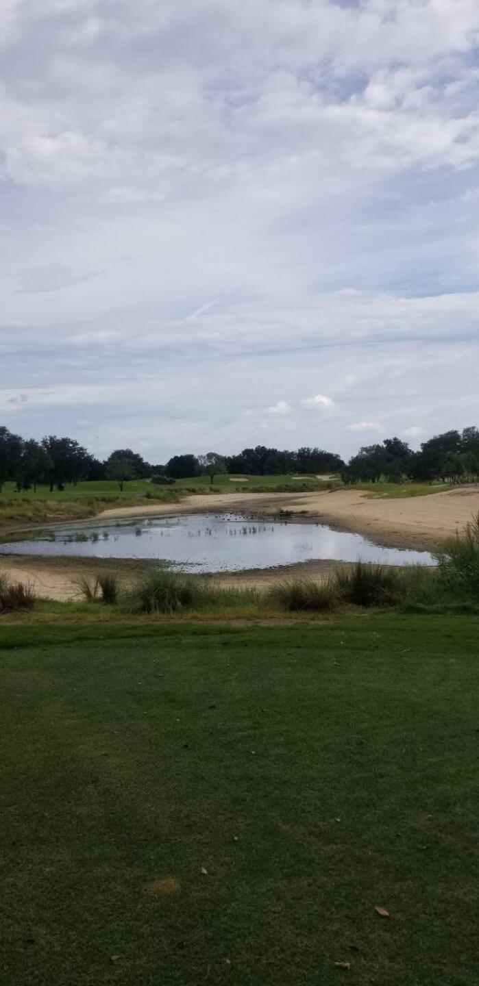 (Photo submitted by choppah13 on 09/06/2019)