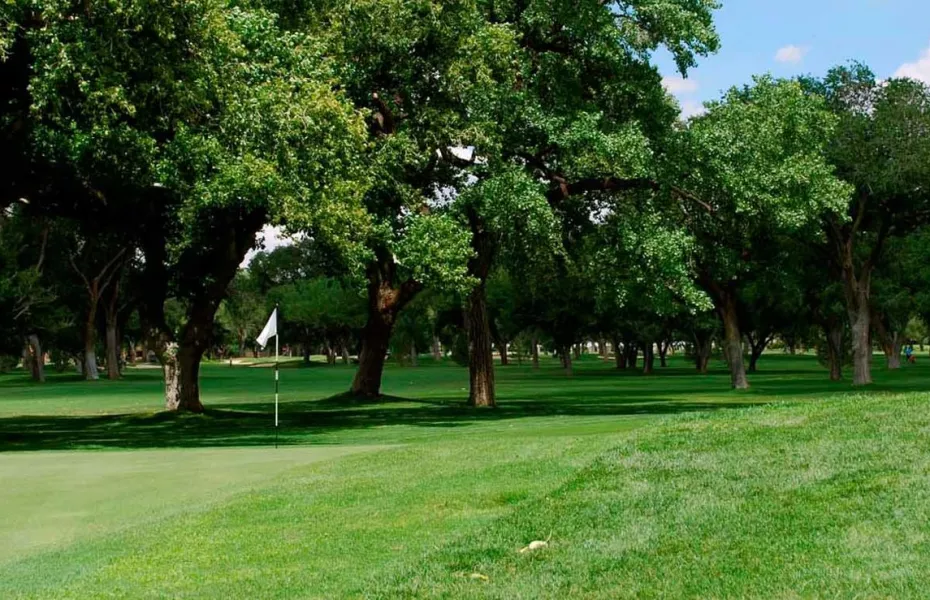 Albuquerque CC