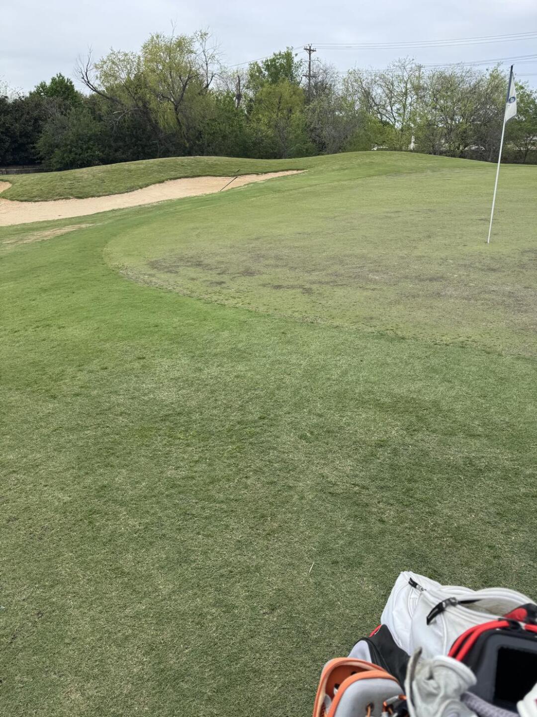 (Photo submitted by jaxMiller on 03/28/2026)