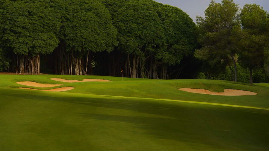 Real Club de Golf Sotogrande: #9