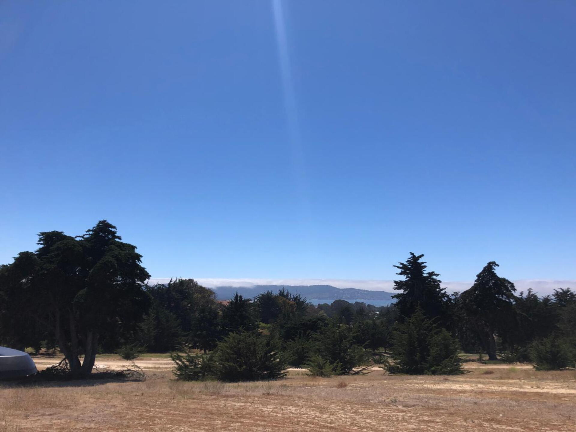 Blackhorse 7/22 (Photo submitted by Tarango21 on 07/22/2019)