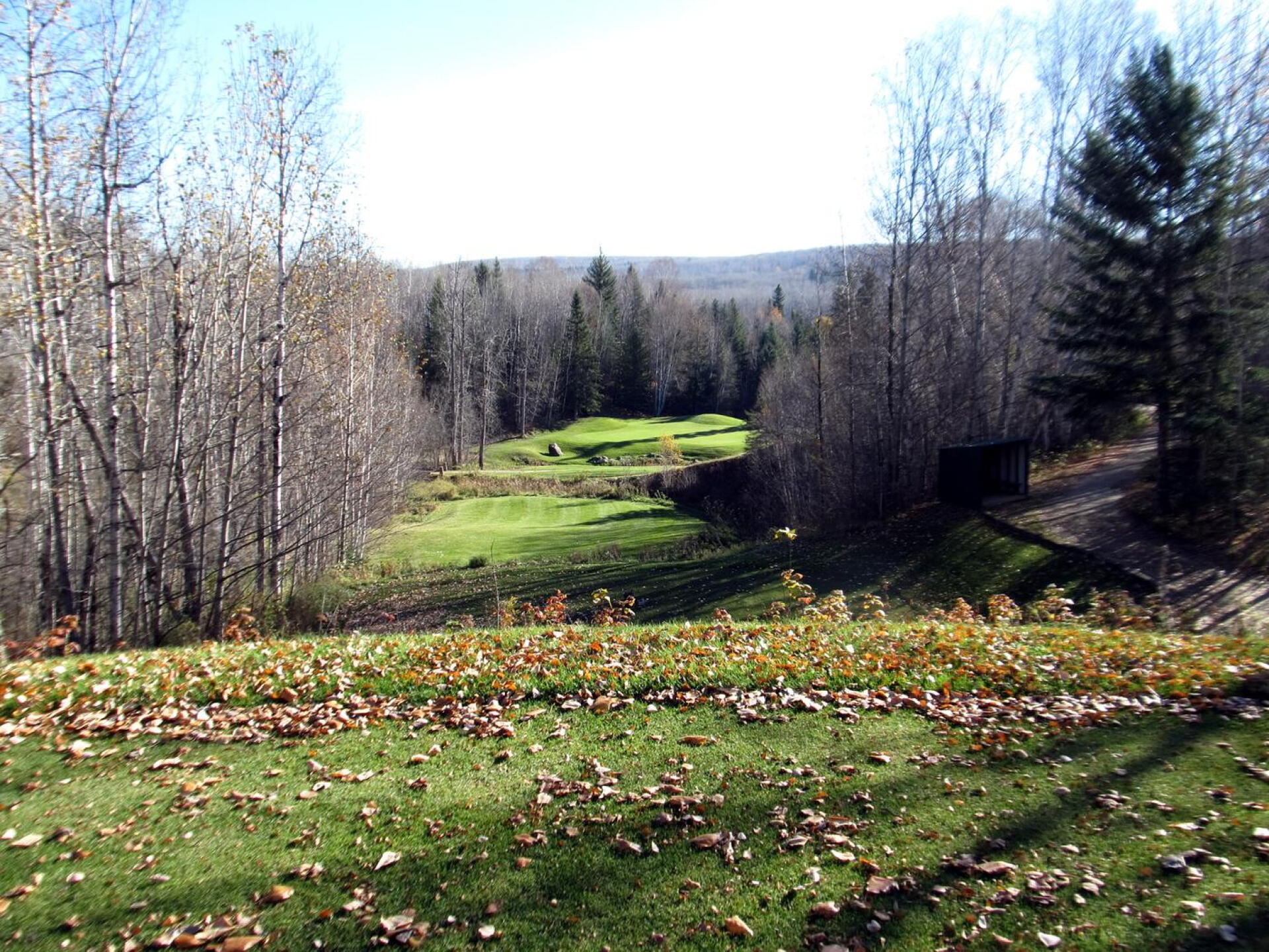 Athabasca G&CC, Hole 3, Par 3, 219 yds (Photo submitted by DYakimec on 10/08/2017)
