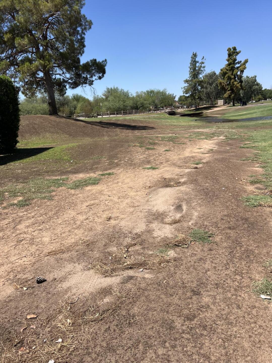 (Photo submitted by u314160482323 on 08/16/2025)