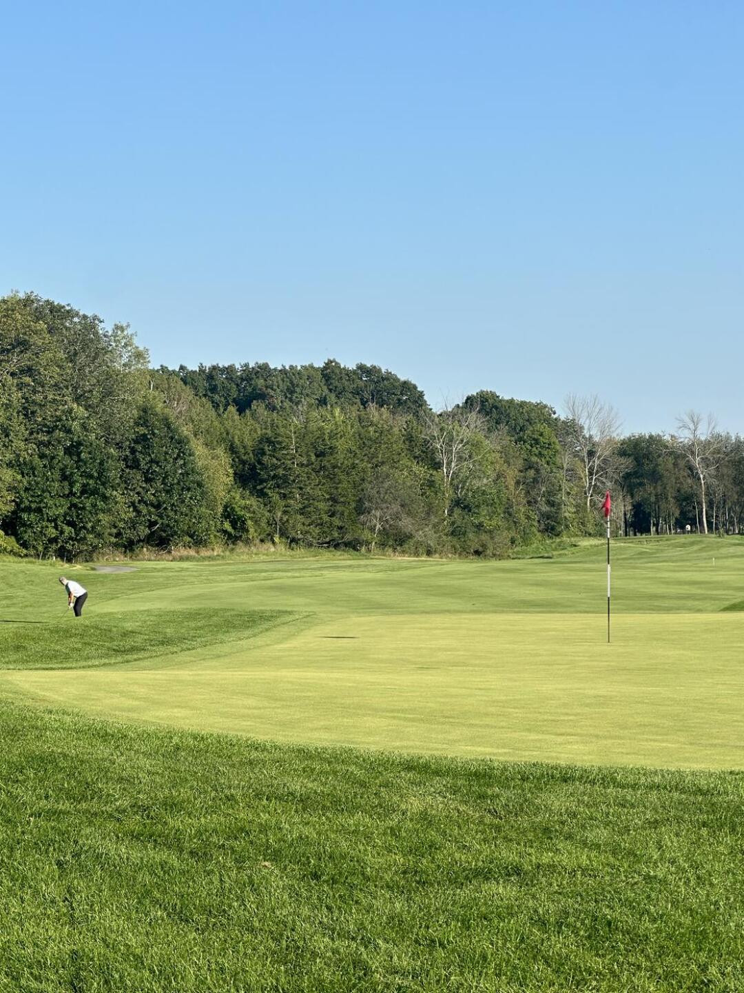 (Photo submitted by hlJVRfnJnw427gbTieJn on 08/26/2024)