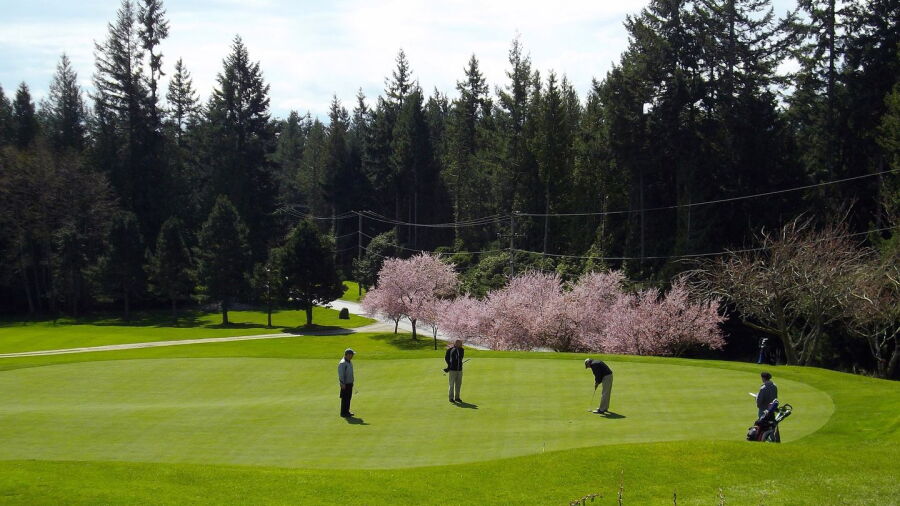 Sunshine Coast GCC: #18