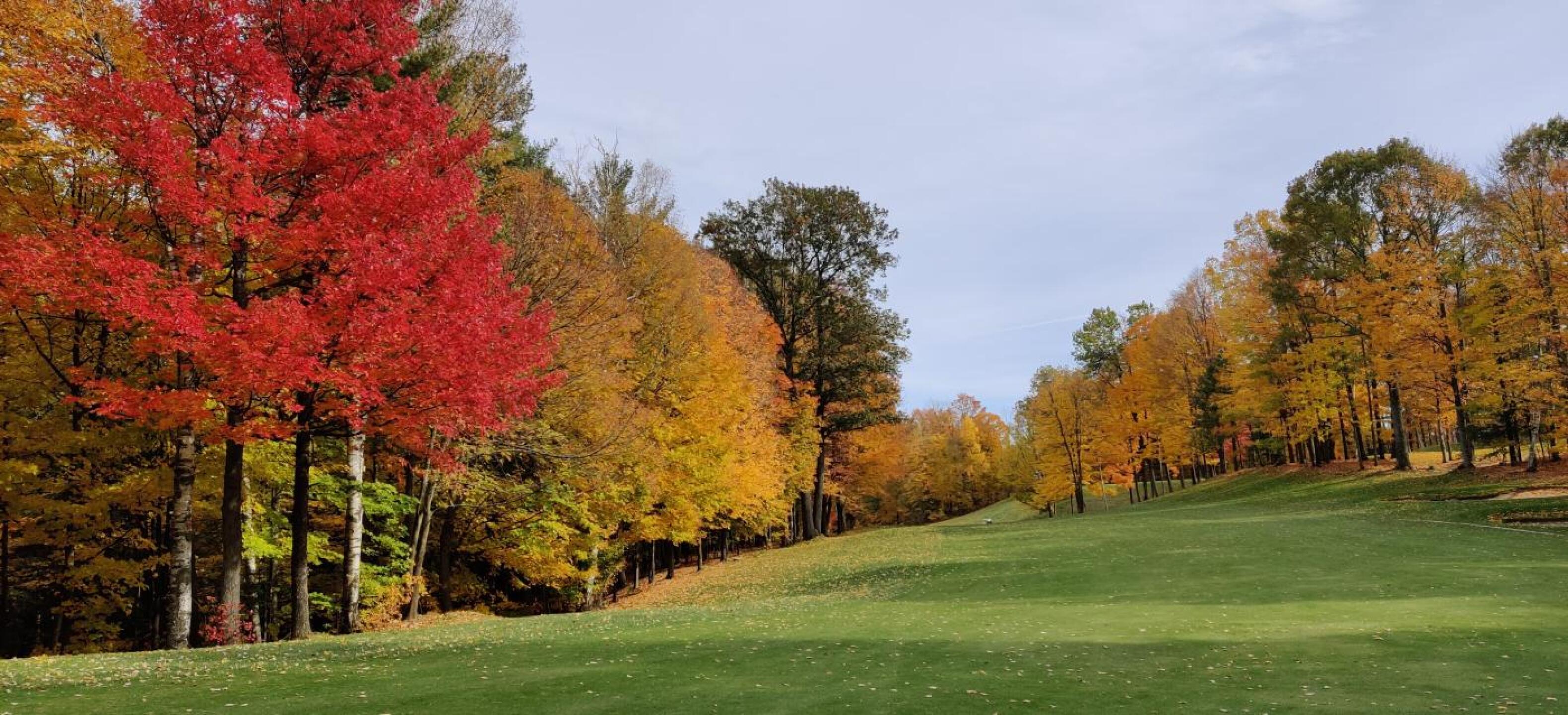 (Photo submitted by kevchui on 10/21/2019)