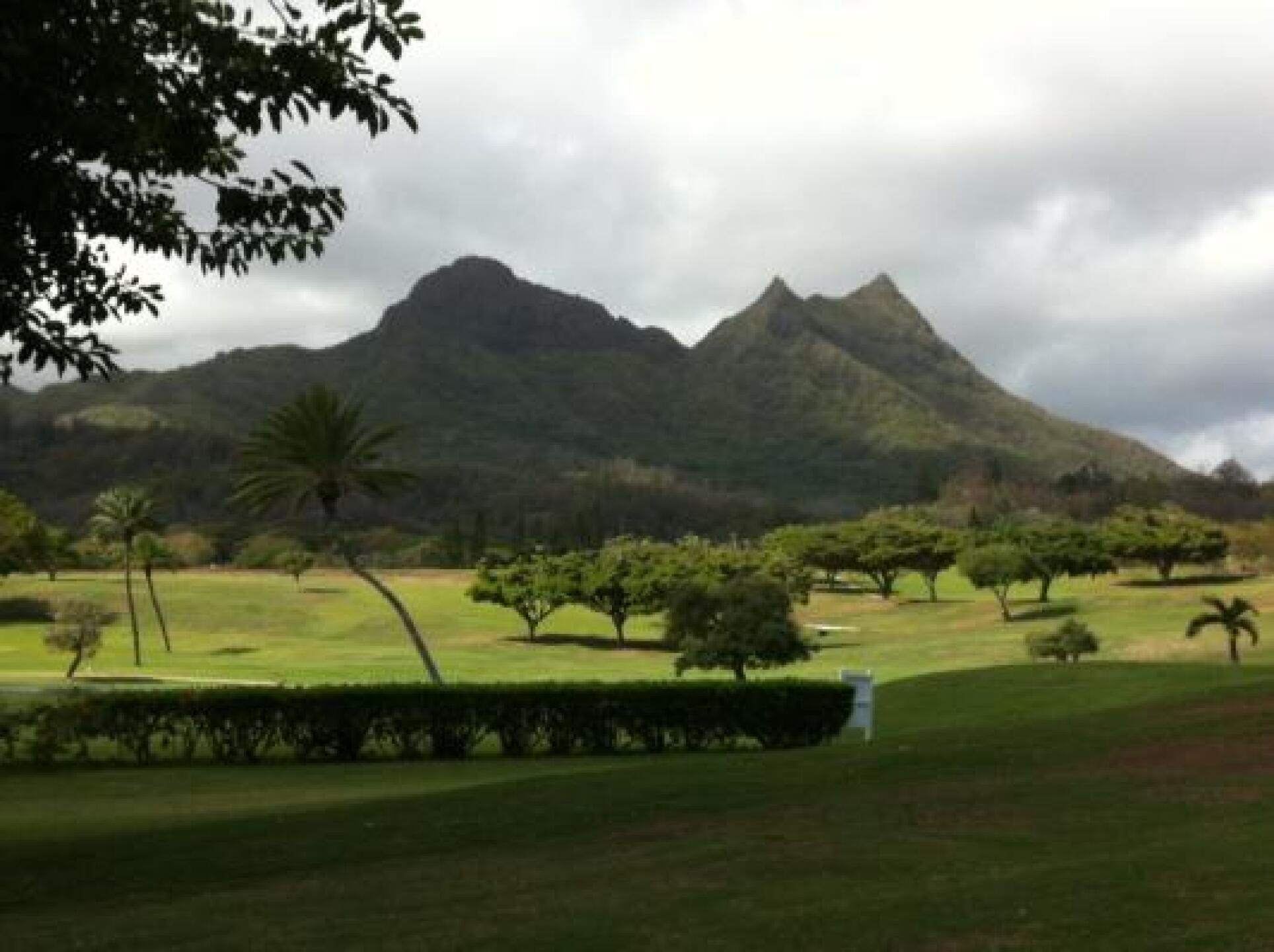 (Photo submitted by Godro on 01/23/2013)