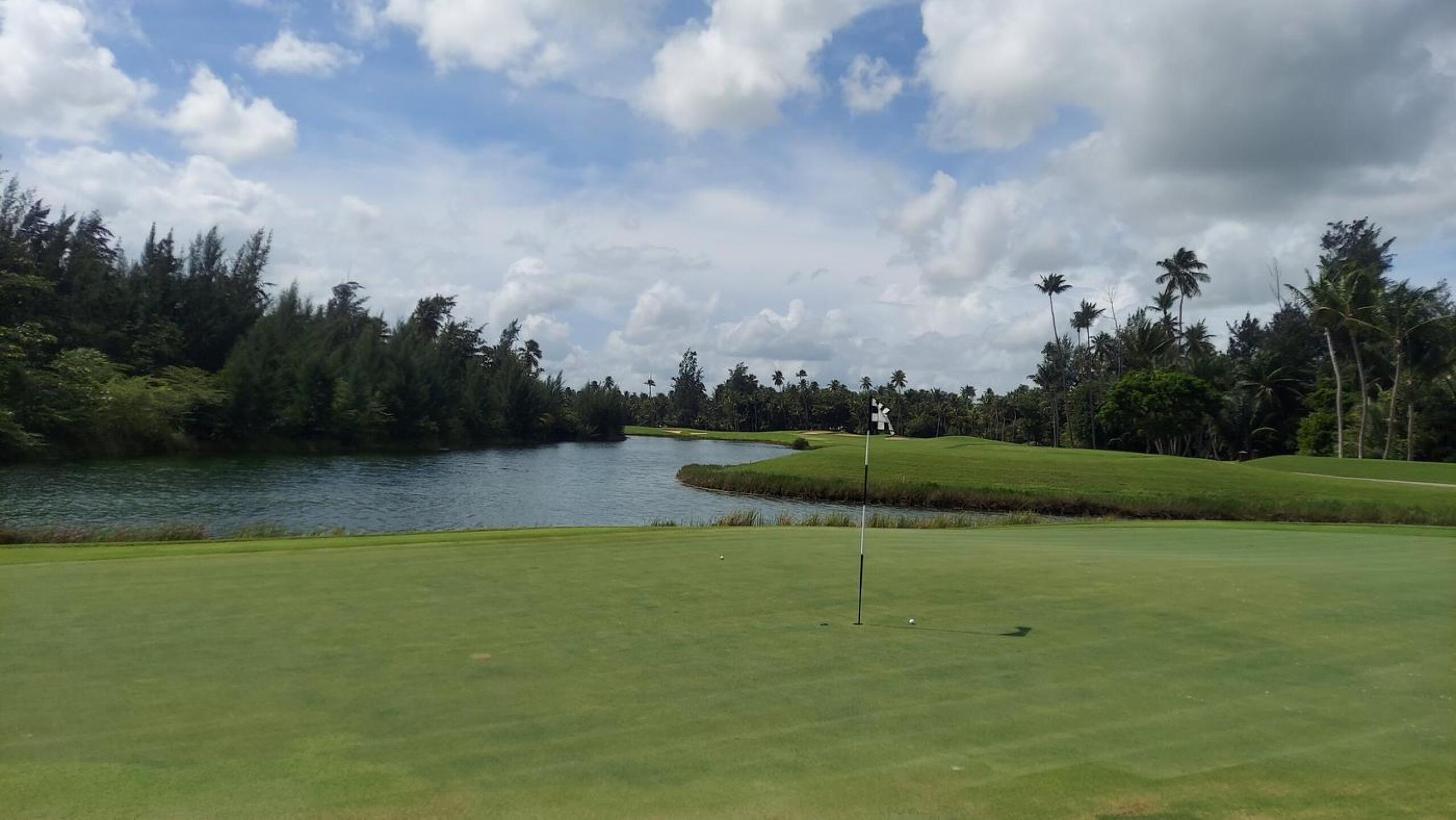 (Photo submitted by Cigala on 01/26/2021)